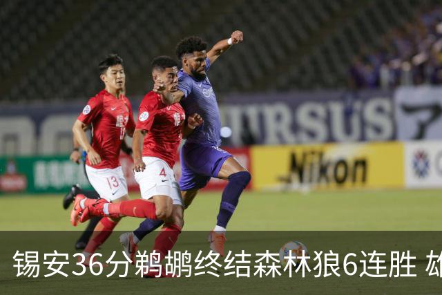 锡安36分鹈鹕终结森林狼6连胜 雄鹿险胜公牛